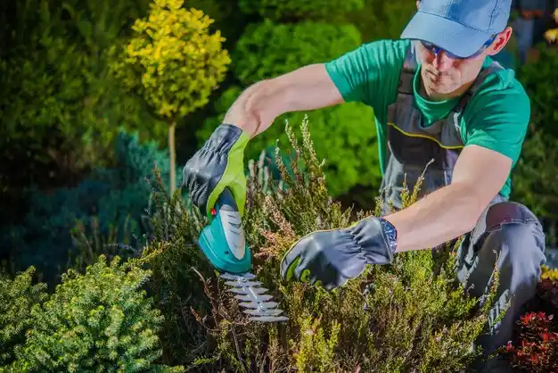 landscaping services Aquebogue